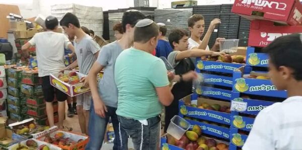 Summer Chesed and Learning at Yeshivat AMIT Nachshon