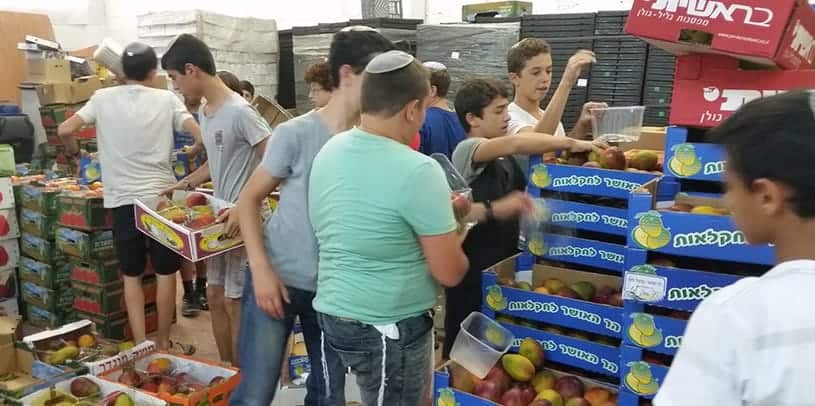 Summer Chesed and Learning at Yeshivat AMIT Nachshon
