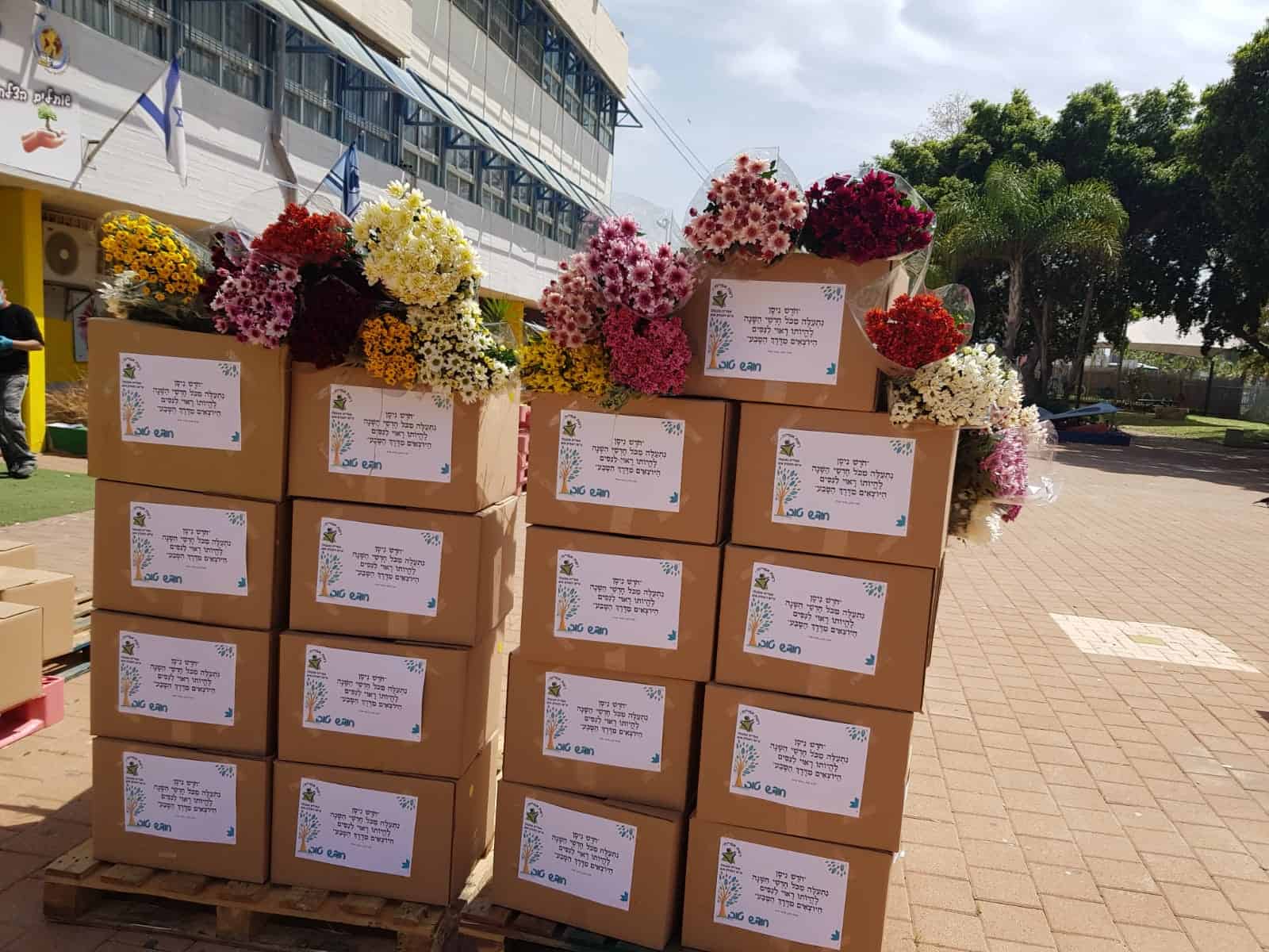 Flowers for Seniors from Student Volunteers Speak Volumes1