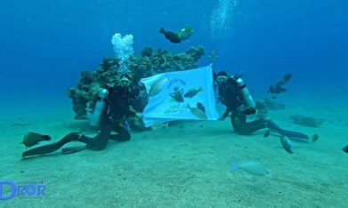 underwater