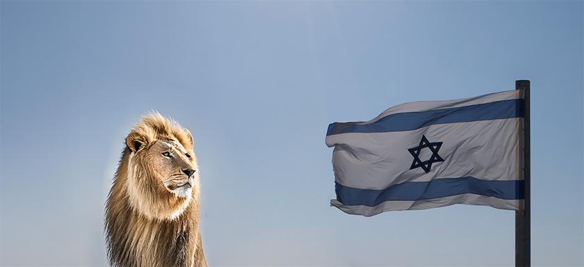 flag with lion[94]