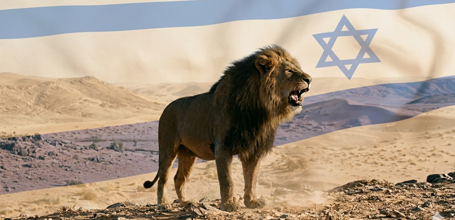 Gemini_Generated_Image_plfu3fplfu3fplfu-6b4b96a06d4bf3a1